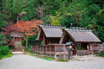 Fototapeta na wymiar 京都　日向大神宮（ひむかいだいじんぐう）の外宮と紅葉