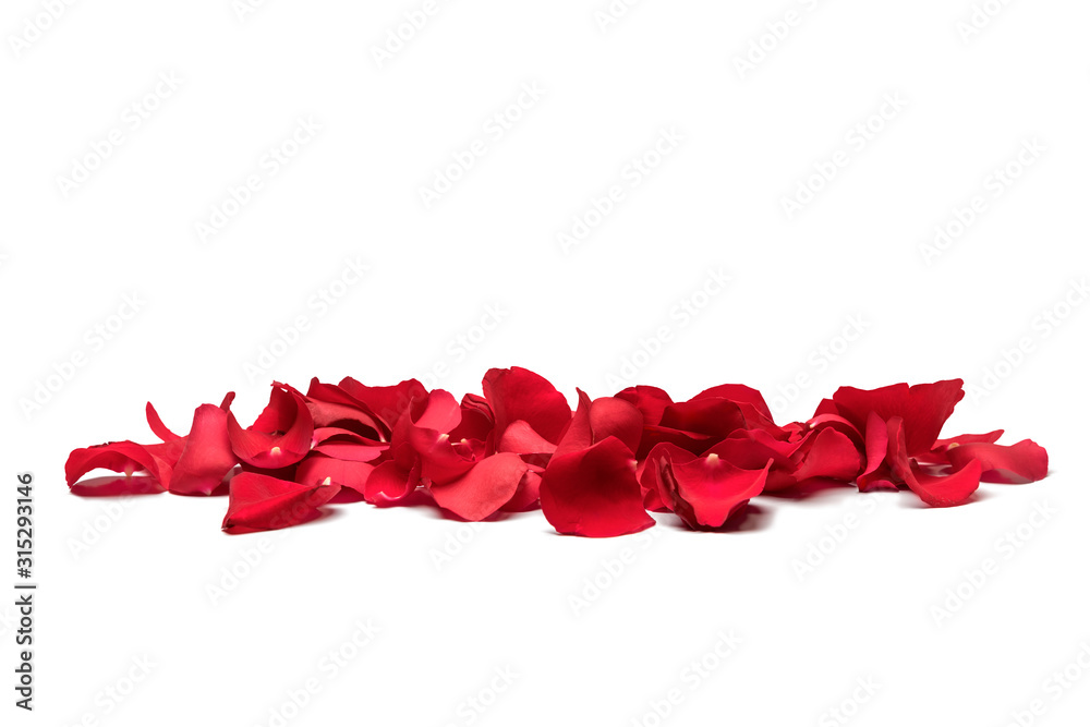 Sticker red rose petals