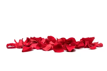 Fotobehang Red rose petals © Leo Lintang