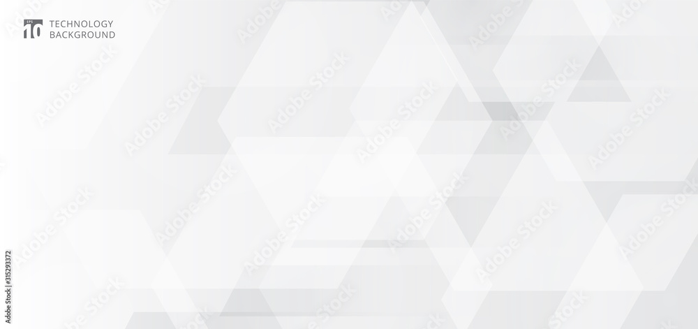 Wall mural abstract banner web white and gray geometric hexagon overlapping technology corporate design backgro