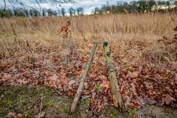 Broken wooden fence post and barrier wire lying on the ground in the countryside