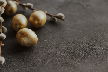  Golden easter quail eggs and willow branches on a dark gray rough background copy space.