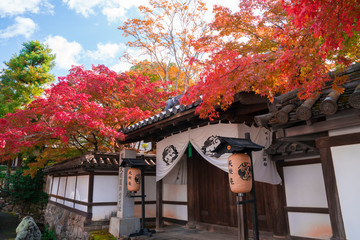 京都　天授庵（てんじゅあん）の紅葉
