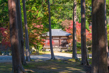 京都　神護寺の紅葉