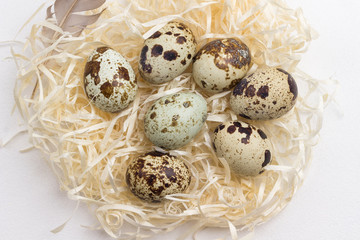 Quail eggs source of omega-3 on straw, diet food.