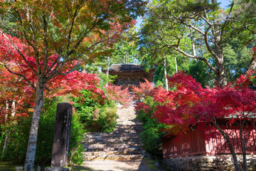 京都　神護寺の紅葉