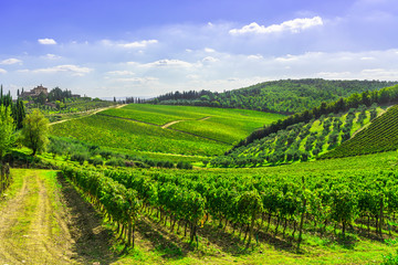 Radda in Chianti vineyard and panorama at sunset. Tuscany, Italy
