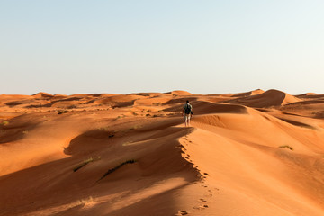 Fototapeta na wymiar Exploring the Wahiba Sands desert, Oman