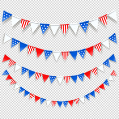 President`s day color flags vector set