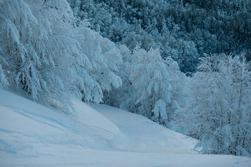 NEVE | APPENNINO TOSCO EMILIANO | MAB UNESCO