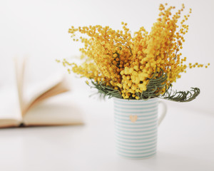 Bouquet of Mimosa flower. International Women Day. Easter concept