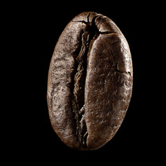 Macro shot of coffee's seed on isolated black background, close-up. Copyspace for ad. Concept of...