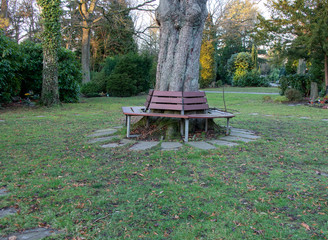 Holzbank um einem Baum auf dem Friedhof