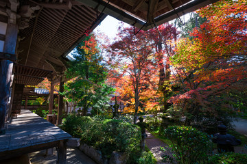 京都　西明寺の紅葉　