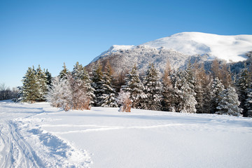 APPENNINO TOSCO EMILIANO | MAB UNESCO
