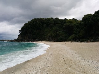 Moody beach view close to forest