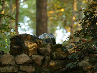 Fountain in the forest