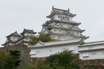 Fototapeta premium 姫路城