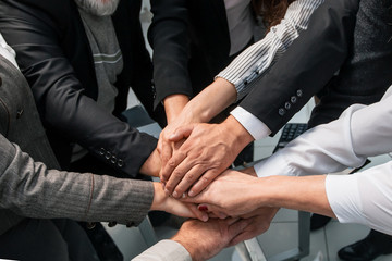 group of diverse professionals showing their unity