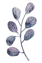 Beautiful watercolor  hand drawn purple leaves. Can be used for invitation, greeting card, wedding, birthday cards