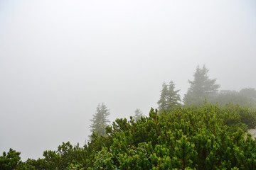 Misty morning in the alpine mountains. Bavaria, Germany. Mystical natural background