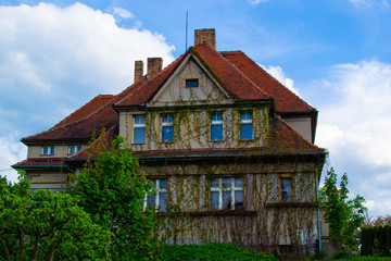 Fototapeta na wymiar Typical country czech house decorated with climbing plants in a rural town