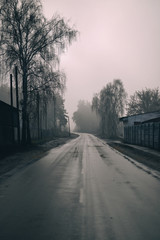 Obraz premium road in the fog. foggy day.