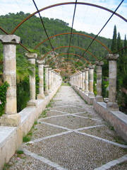 Bewachsener Gang mit mediterranen Säulen und einem Rankgitter auf Mallorca, Balearen, Mittelmeerinsel, Wasserspiel in einem alten verwunschen Garten, still und geheimnisvoll