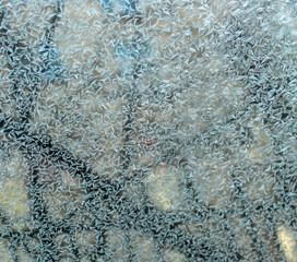 Figure of ice crystals on glass