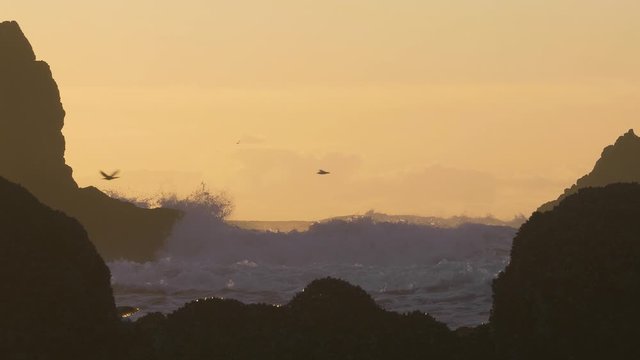 Big ocean waves crashing between cliff rocks at sunset birds flying cannon beach oregon pacific northwest slow motion 