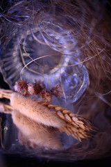 Bouquet of dry seasonal plants