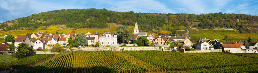 View of famous vineyards near Saint-Aubin