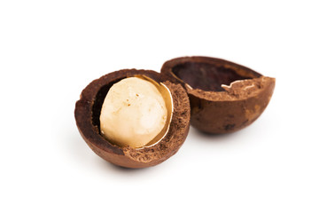 Raw not peeled whole macadamia nuts with shelled kernels isolated on white. Macro view. Healthy food. Protein source.