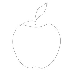 Apple fruit line drawing  vector illustration