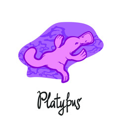 Australian platypus ashore with stones and sand, on a purple background. Drawn in linear graphics, isolate for banners, cards, posters and sites.