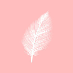 White fluffy feather, vector isolated realistic quill on pink background. Goose or swan bird feather symbol with detailed plumage texture, decoration element, softness symbol and light concept design