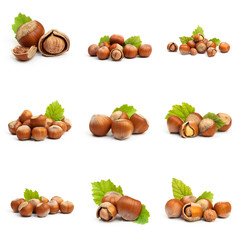 Set of Hazelnut nut many leaves isolated on a white background as a packaging design element