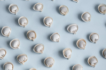 A pattern of raw, frozen dumplings on a light blue background.