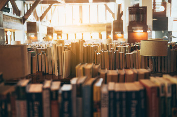 Bookshelves in public libraries, Conceptual of education