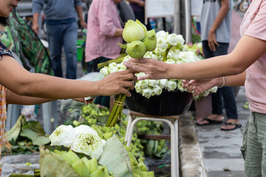 Unidentified people buying White lotus flowers blossom for Buddhist religious ceremony in market