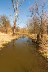 Fototapeta na wymiar beautiful early springtime scenery with creek, trees and clear sky