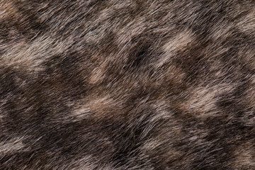 Fur texture close up. Fur on winter women's clothing.