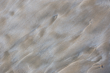 The texture of sea sand closeup.