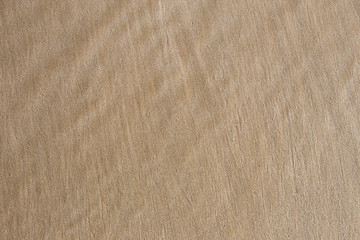 The texture of sea sand closeup.