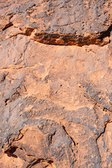 The detail texture of stone