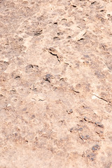 The detail texture of stone