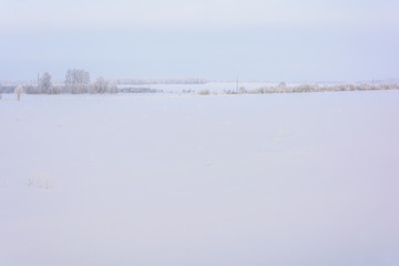 Naklejka premium Beauty of nature in winter