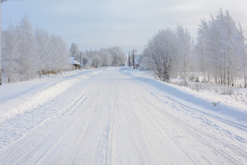 Beauty of nature in winter