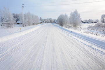 Obraz premium Beauty of nature in winter