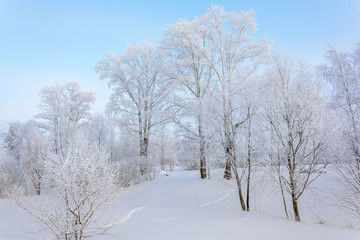 Fototapeta na wymiar Beauty of nature in winter